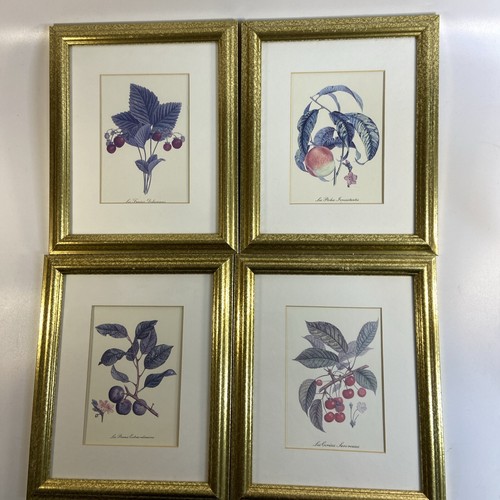 Set botanical art prints - of, 4