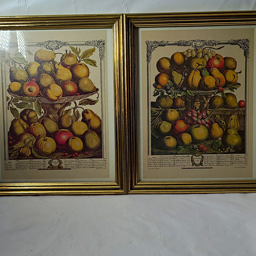 Framed fruit still life - fruit, paper